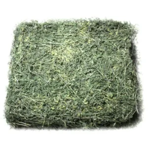 Alfalfa Hay