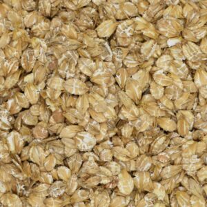Feed Barley