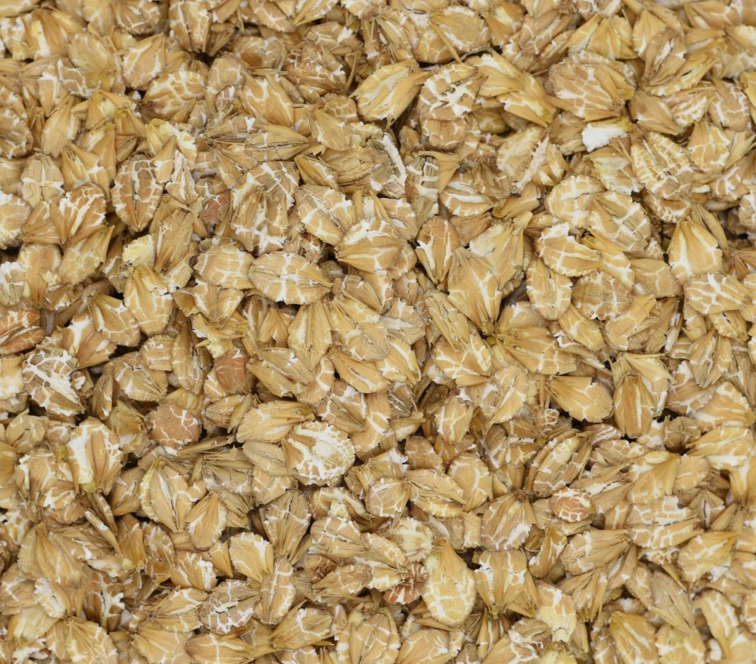 Feed Barley