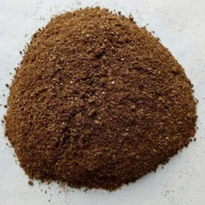 Molasses
