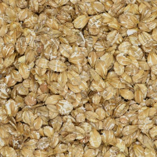 Feed Barley